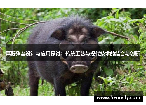 真野猪套设计与应用探讨：传统工艺与现代技术的结合与创新